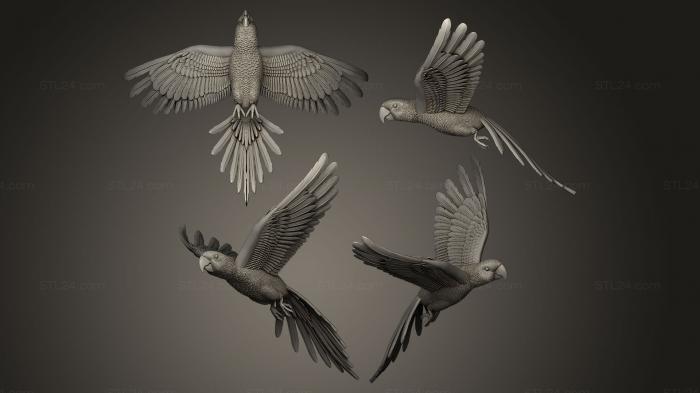 Статуэтки птицы (Попугай в полете, STKB_0057) 3D модель для ЧПУ станка